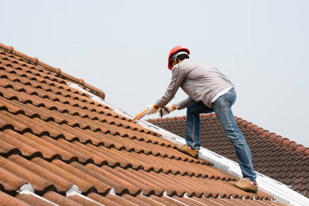 Best Metal Roofing Installation  in Cordova, NC